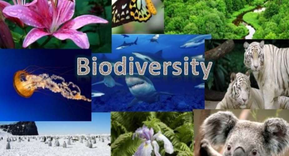 Protecting biodiversity is crucial to fighting hunger - IFAD calls for increased investments ahead of World Conservation Congress