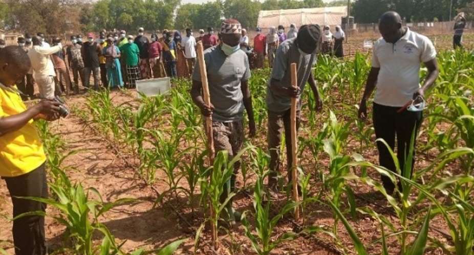Over 320,000 farmers in Upper East Region registered under Planting for Food and Jobs