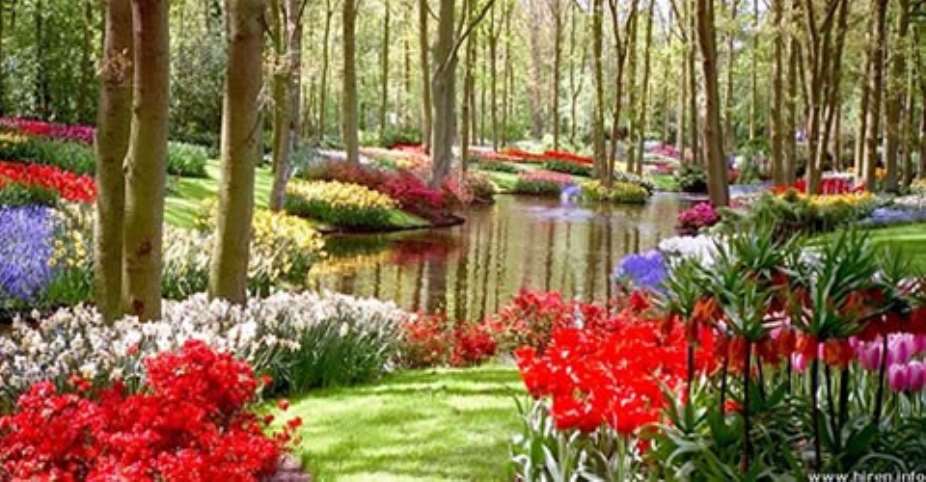 Ghanas most beautiful botanic garden - Aburi