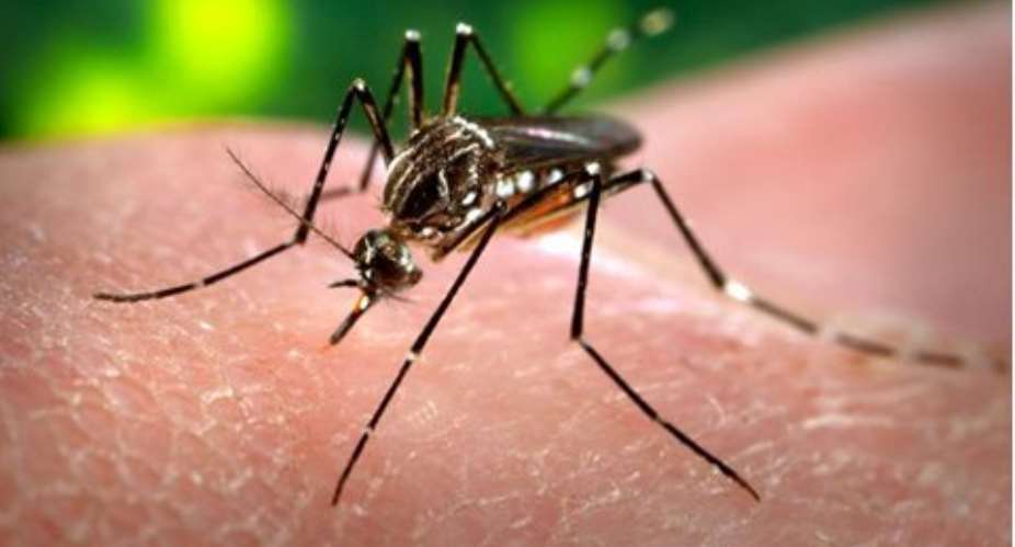 Malaria on the increase in Western Region