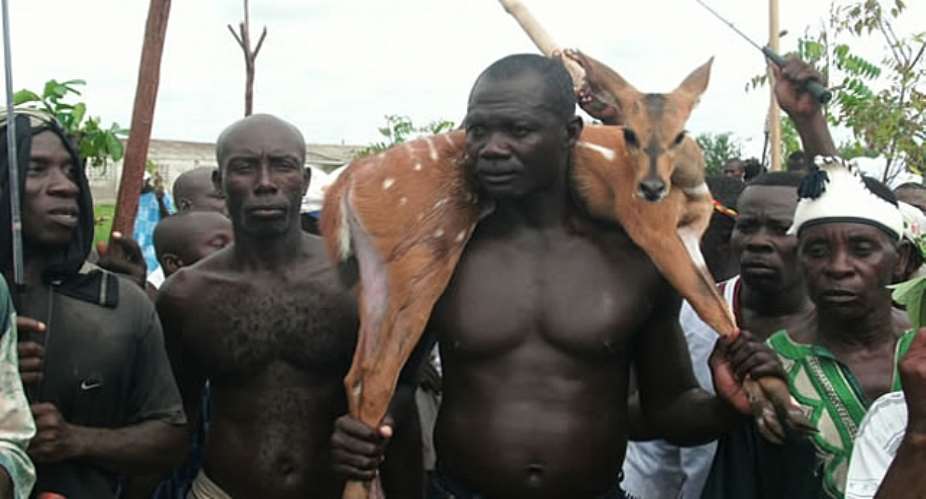 No Live Deer Caught At The Winneba Deer Hunt (aboakyer) Festival? What Happened?