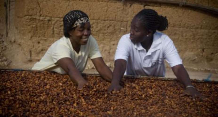 Kuapa Kokoo marks two decades of empowering poor cocoa farmers
