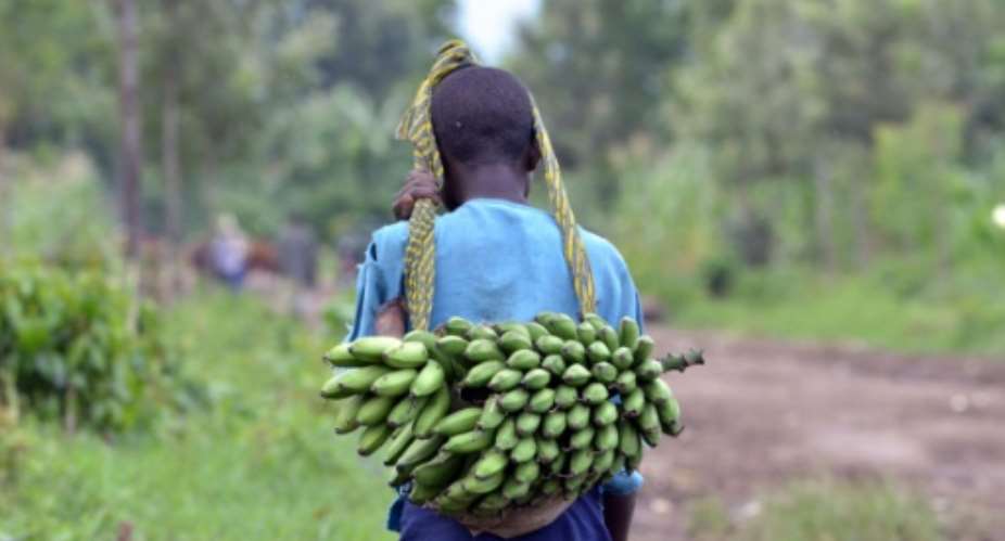 A girl carries a load of bananas on November 3, 2013 in Rutshuru.  By Junior D. Kannah AFPFile