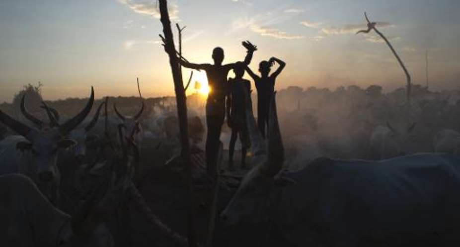 South Sudanese cattle herders stand among their animals in a field in Terekeka, in the Central Equatoria state of South Sudan, on April 13, 2014.  By Ali Ngethi AFPFile