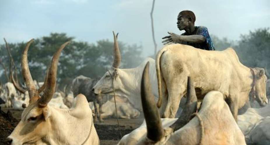 A herdsman from the Dinka tribe at a cattle-camp near south Sudan's town of Rumbek on November 13, 2011.  By Tony Karumba AFPFile