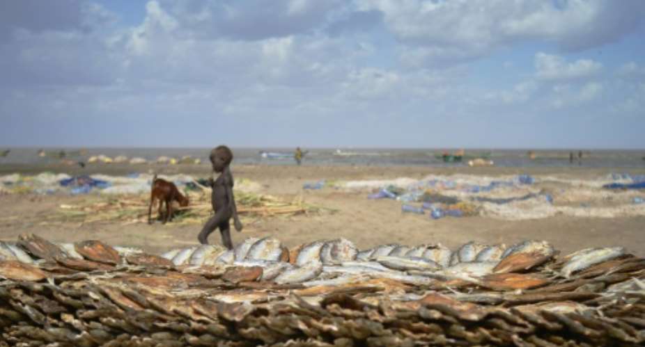 A boy walks past a stack of fish on the western shores of Kenya's Lake Turkana, which is gradually receding, fuelling fears of diminished fish stocks.  By TONY KARUMBA AFP