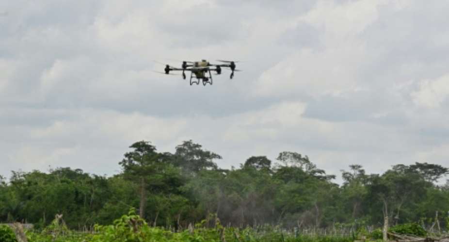 A drone sprays fungicides in passion fruit fields in Ivory Coast.  By Issouf SANOGO (AFP)