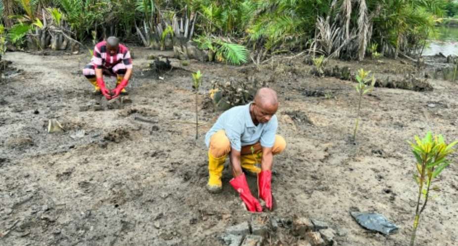 a local community leader is pushing ahead with a project to restore the spoiled forests.  By Kadiatou Sakho (AFP)