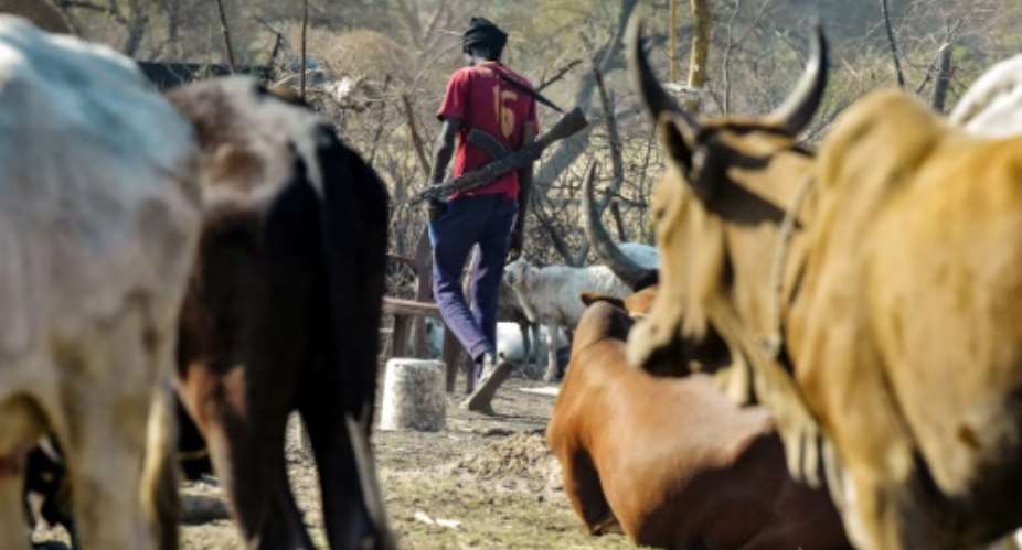 A man carrying a gun walks past cattle in the town of Udier, South Sudan in March 2019.  By SIMON MAINA AFPFile