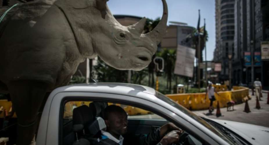 A man drives a pick-up truck carrying a mock rhino during a demonstration marking the opening of the Convention on International Trade in Endangered Species of Wild, Fauna and Flora CITES in Johannesburg on September 24, 2016.  By Marco Longari AFP