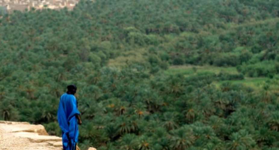 A man stands overlooking the Tafilalet oasis on October 27, 2016.  By Fadel Senna (AFP)