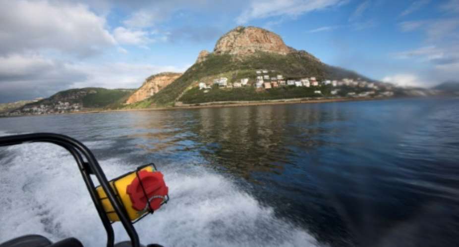 A Marine Law Enforcement officer working for the city of Cape Town patrols False Bay, near Simon's Town, looking for poachers of abalone shellfish, especially coveted by Chinese diners.  By RODGER BOSCH AFP