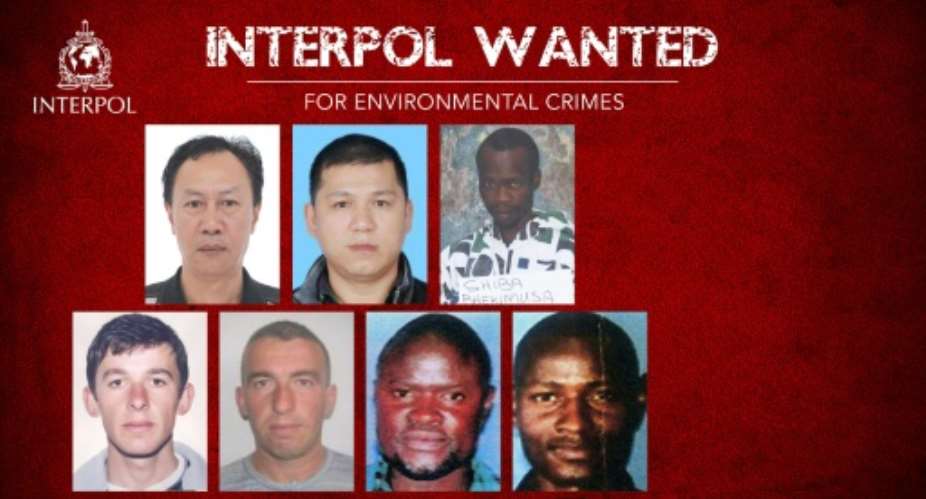 A picture released by Interpol shows the seven individuals wanted for alleged environmental crimes.  By - INTERPOLAFP