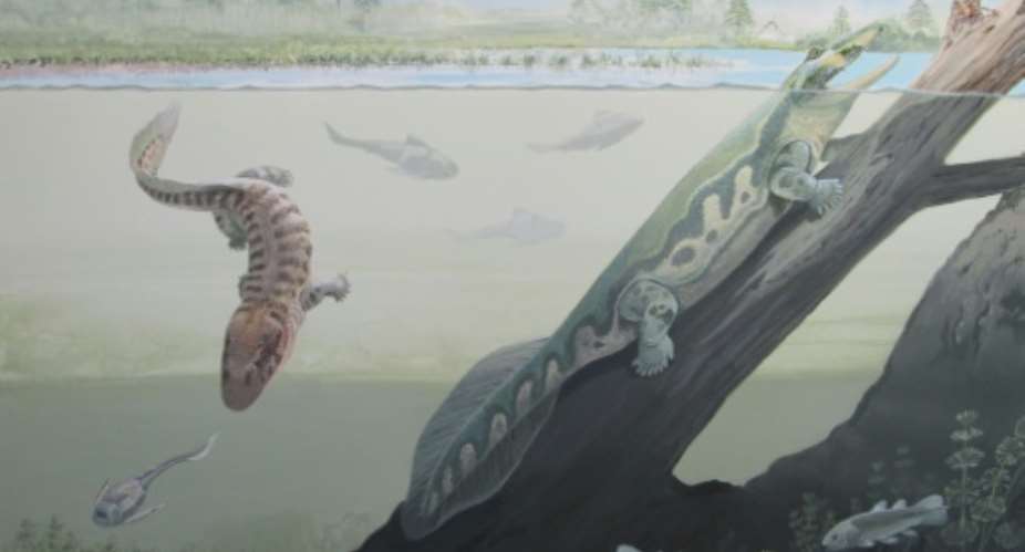A reconstruction by the Centre of Excellence in Palaeosciences of the University of the Witwatersrand showing Tutusius and Umzantsia.  By Maggie  NEWMAN University of the WitwatersrandAFP