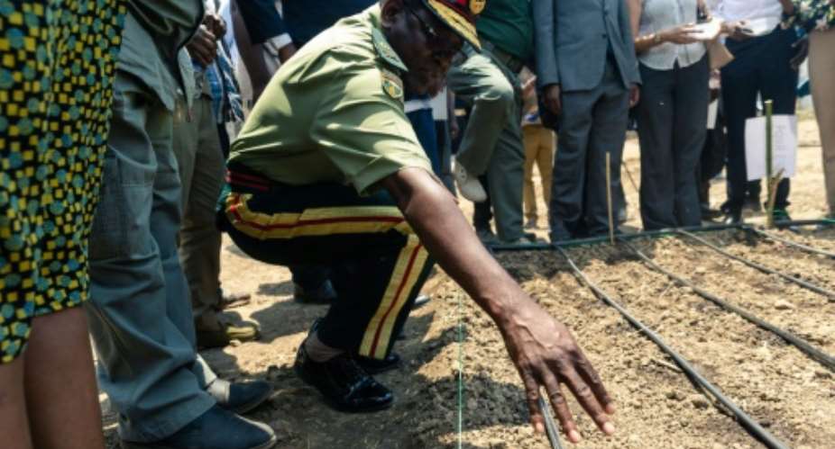 A senior army representative sowing some of the first industrial hemp crop in Zimbabwe at the Harare Central Prison in the capital, on October 11, 2019.The Zimbabwe Industrial Hemp Trust ZIHT is the first organization to be issued with a cannabis license in the southern African country..  By Jekesai NJIKIZANA AFP