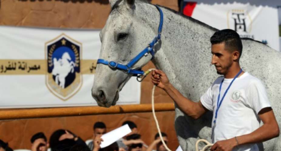 A three-day auction in Libya's Mediterranean coastal city of Misrata found homes for 96 of some 150 horses on sale.  By Mahmud TURKIA AFP