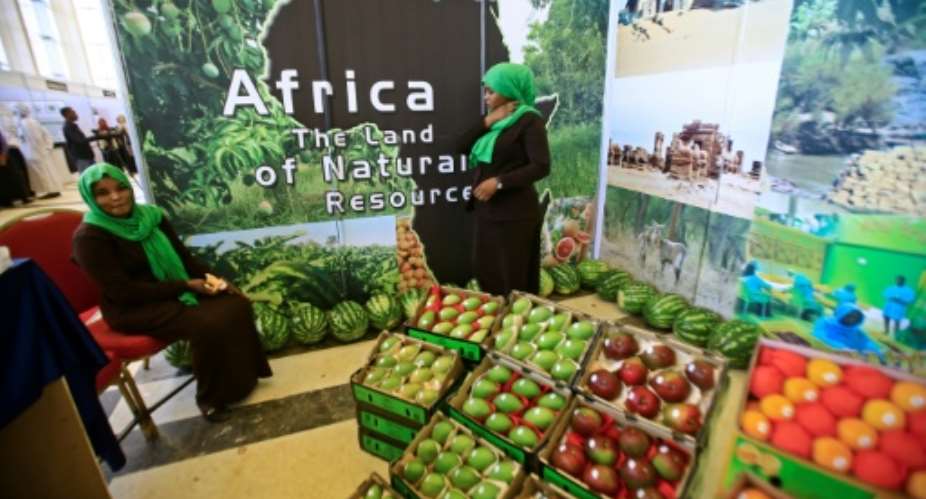 African produce on display at the UN's Food and Agriculture Organization regional conference in Khartoum.  By ASHRAF SHAZLY AFP
