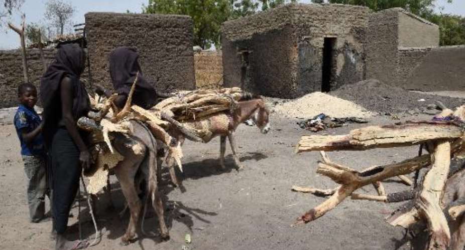 Women transport dry wood on donkeys next to burnt houses on April 6, 2015 in Ngouboua, a Lake Chad village in Chad, which was attacked by Islamist group Boko Haram on February 12.  By Philippe Desmazes AFPFile