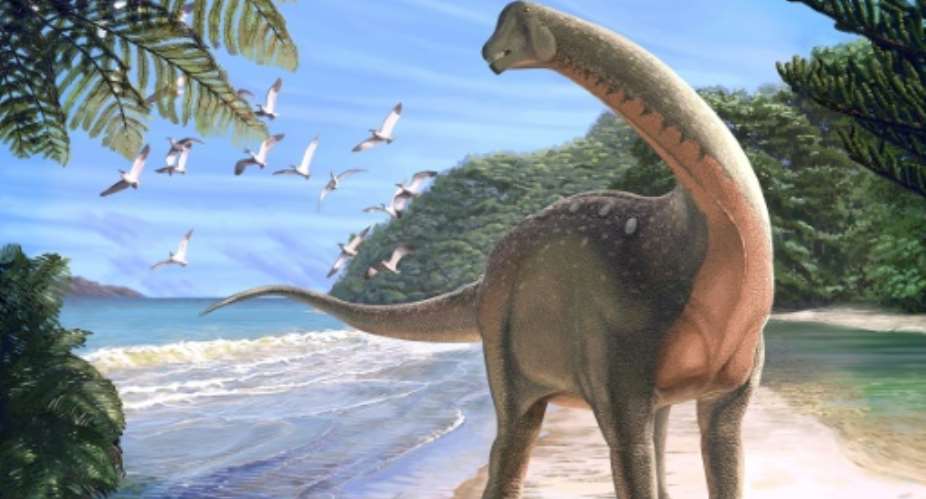 An elephant-sized dinosaur called Mansourasaurus sheds new light on Afro-European dinosaur ties, scientists said.  By Andrew McAFEE Carnegie Museum of Natural HistoryAFPFile