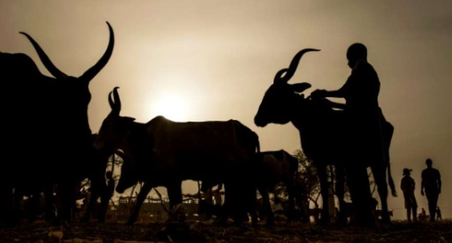 An udder way of paying: Chad is reimbursing its debt to Angola with cattle.  By Luis TATO AFP