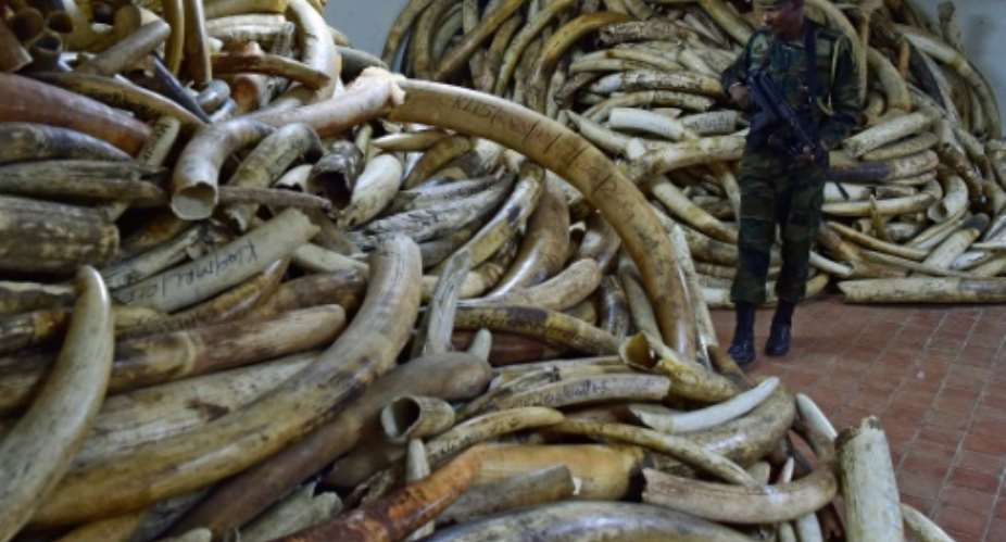 At its peak in 2014 wholesale prices for raw ivory stood at 2,100 1,900 euros per kg in Chinese markets, according to a report by two ivory trade experts.  By Carl de SOUZA AFPFile