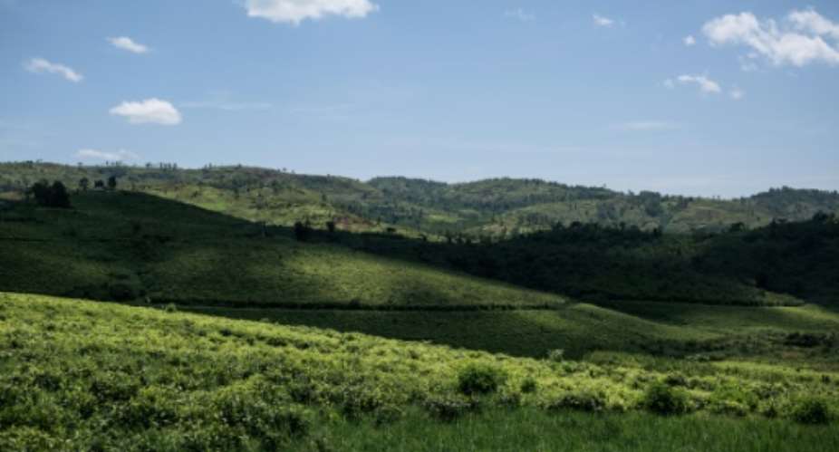 Beautiful but dangerous: A view across the JTN tea plantation in a region of eastern DR Congo known as 'the Switzerland of Africa.' The verdant region is also riddled with brutal militias, who often clash over land.  By ALEXIS HUGUET AFP