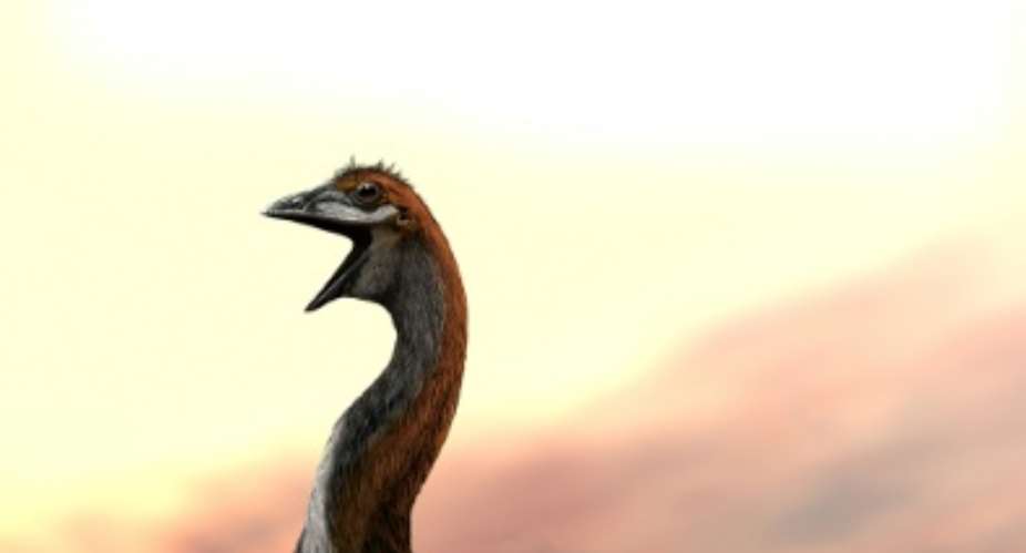 Big bird: One species of elephant bird stood over three-metres tall and could weigh as much as a fully grown giraffe.  By Jaime CHIRINOS Zoological Society of London ZSLZoological Society of London ZSL
