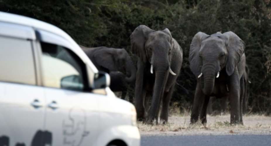 Botswana's lifting of a five-year-old blanket hunting ban is a welcome move to those who fear attacks by roaming elephants.  By MONIRUL BHUIYAN AFP