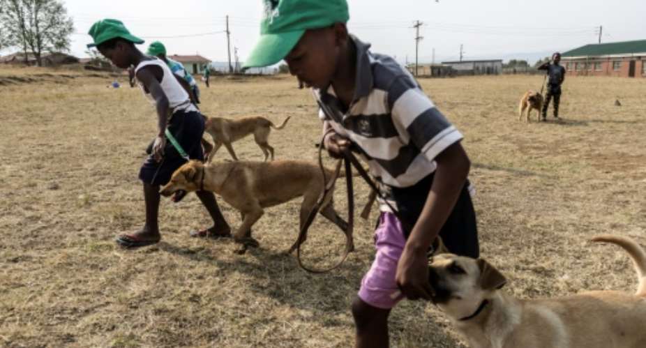 Boys take part in a training exercise with their dogs as part of a volunteer-run initiative that helps children develop caring and social skills as well as handling their animals with respect.  By TADEU ANDRE AFPFile