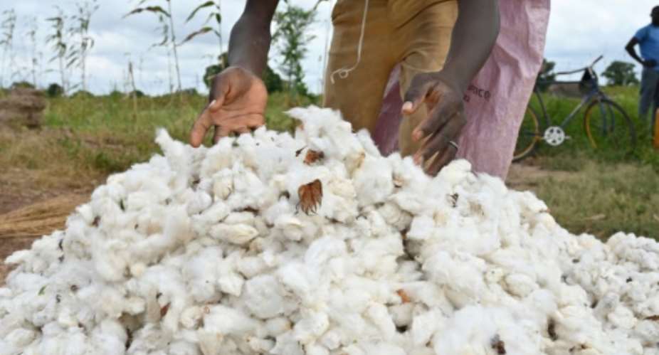 Burkina Faso is among Africas leading cotton producers but production has plummeted because of jihadist attacks.  By Issouf SANOGO (AFP/File)