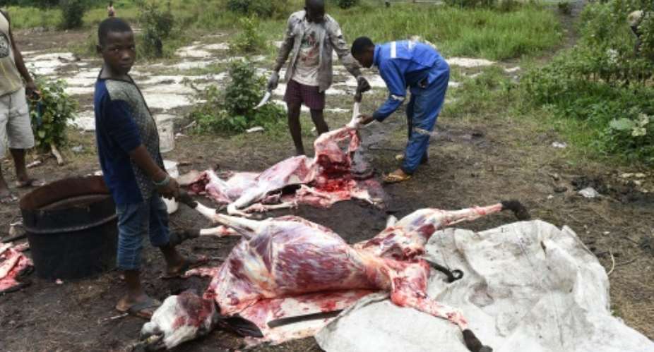 Butchers at Ughelli in southern Nigeria's Delta state slaughter donkeys and skin their hides for export to China to be boiled down into a soluble gel -- Ejiao. This valued gum has supposed medicinal properties and is also used in beauty products.  By PIUS UTOMI EKPEI AFPFile