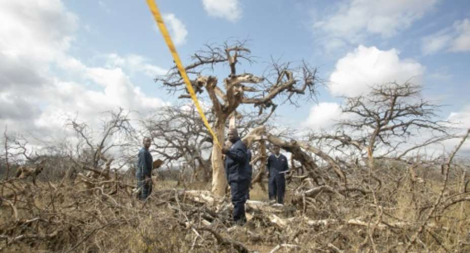 Cash-strapped African nations want a much bigger share of a $2-billion carbon credits market that is forecast to grow five-fold by 2030.  By Tony KARUMBA (AFP)
