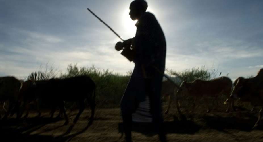 Cattle theft is a major problem in Uganda -- the government says it has killed 29 cross-border raiders in the past three months.  By WALTER ASTRADA AFP