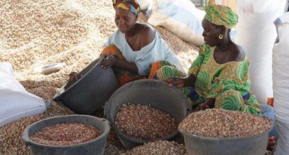 Women sort peanuts on February 23, 2013 in the central Senegalese village of Dinguiraye.  By Seyllou AFPFile