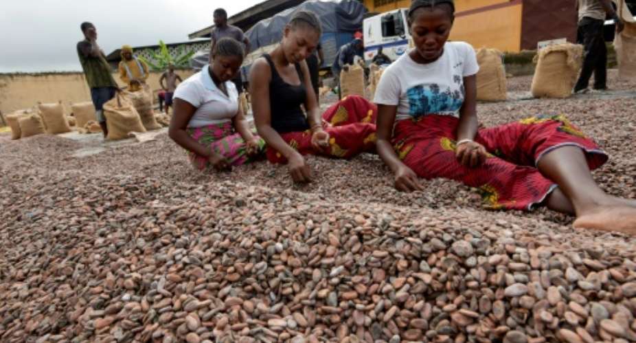 Cocoa accounts for 40 percent of Ivory Coast's exports but the country is losing out on value added by the processing and distribution sectors, the World Bank says.  By Sia KAMBOU AFPFile