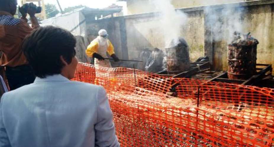 French Junior Minister for French-Speaking Countries Annick Girardin watches a health worker burn used protection gear in Conakry, Guinea on September 13, 2014..  By Cellou Binani AFPFile