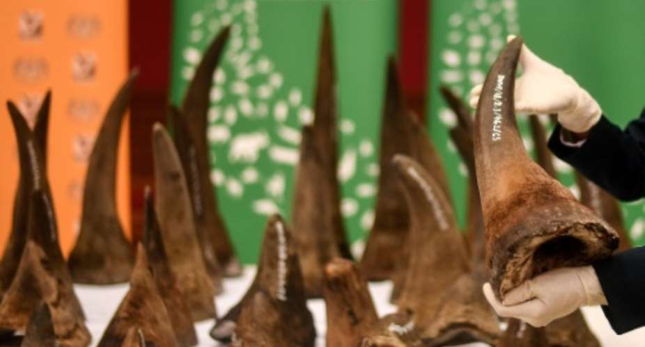 Demand for rhino horns - like these seized by Malaysian officials in August 2018 - is fuelled by consumers in China and Vietnam where it is advertised by some traditional medicine practitioners as a wonder ingredient.  By Manan VATSYAYANA AFPFile