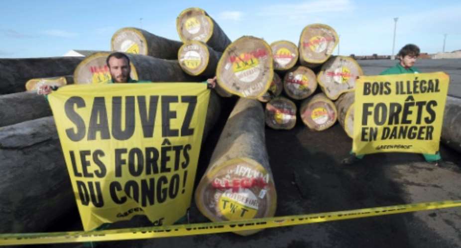 Greenpeace activists demonstrate with banners against the illegal importation of timber coming from Congo on May 22, 2014 in front a warehouse from French sawmill Robert  Cie, in La Rochelle, western France.  By Xavier Leoty AFPFile