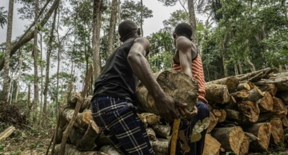 DRCs forests are prized by buyers of forest concessions -- some for logging, others for contested carbon-offset programmes.  By Glody MURHABAZI (AFP)