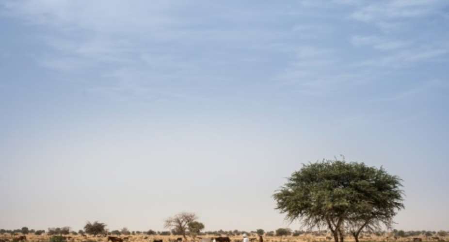 Eastern Chad is in the grip of a cycle of violence between nomadic camel herders -- many from the Zaghawa ethnic group from which President Deby hails -- and sedentary farmers from the Ouaddian community.  By Amaury HAUCHARD AFPFile