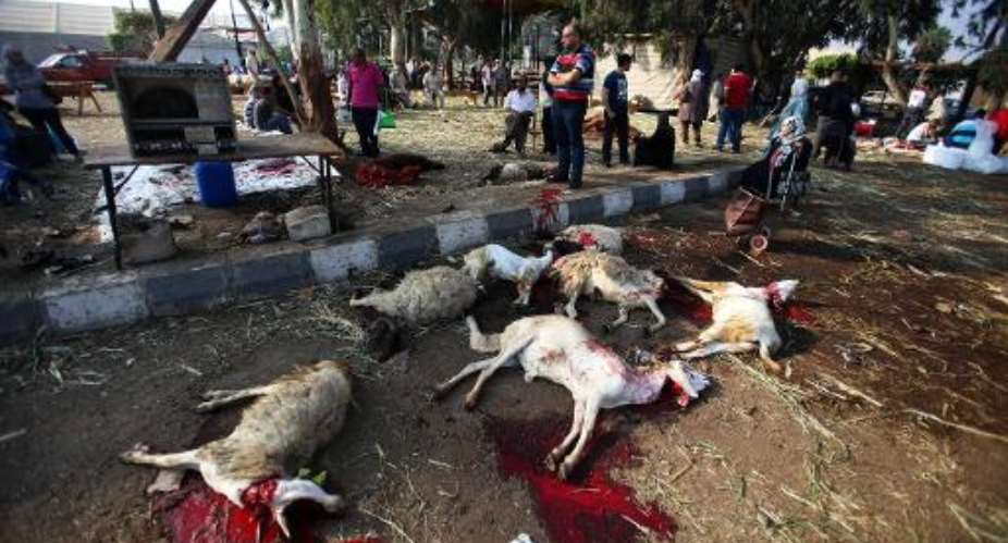Slaughtered goats lie on the ground in Cairo on October 4, 2014 as Egyptian Muslims commemorate the first day of Eid al-Adha, commemorating Prophet Abraham's readiness to sacrifice his son to show obedience to God.  By Mohamed el-Shahed AFPFile