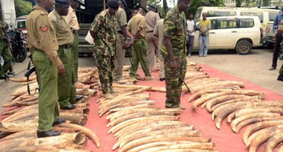 Kenyan police officers look on June 5, 2014 at 302 pieces of ivory, including 228 elephant tusks, found and seized the day before in a warehouse during a raid in the port city of Mombosa.  By Stringer AFPFile