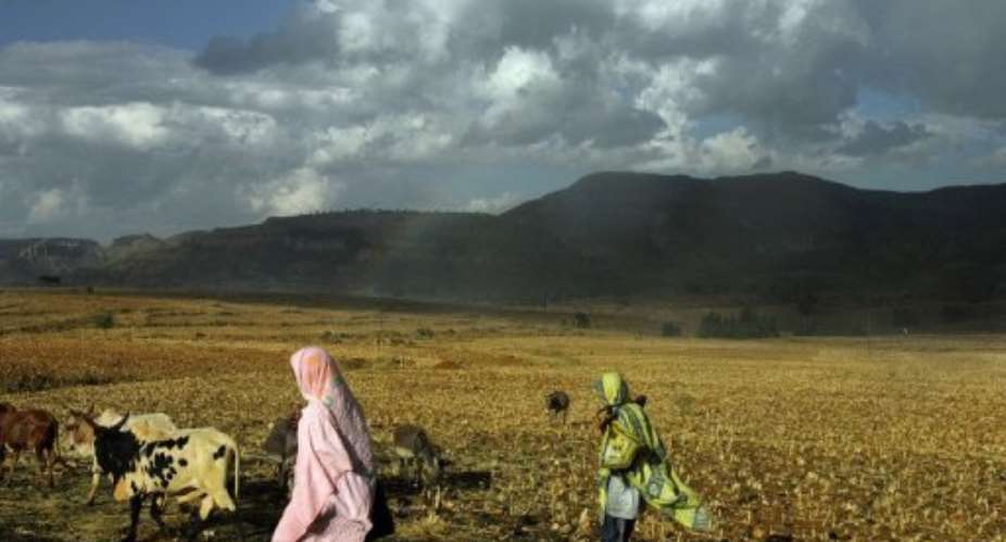 Under Ethiopian law, pastoralists have the right not to be displaced from their own land.  By Marco Longari AFPFile