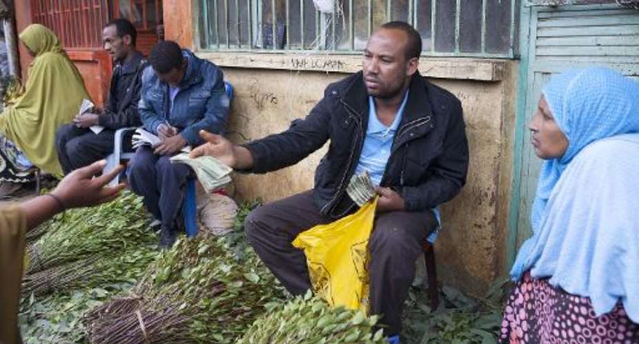 Mustafa, a local khat exporter based in Awaday, Ethiopia, inspects fresh khat, on July 30, 2014.  By Zacharias Abubeker AFPFile