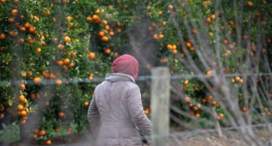 Factories, farms and ordinary households across South Africa are scrambling for labour after thousands of foreign workers left.  By RODGER BOSCH (AFP)