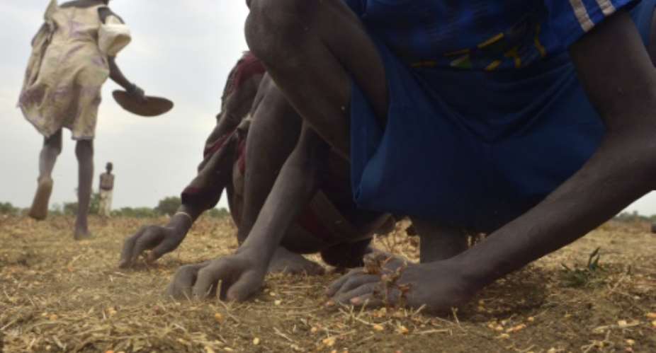 South Sudanese children gather grain spilled from bags busted open following a food-drop on February 24, 2015 at a village in Nyal, Panyijar county, near the northern border with Sudan, on February 24, 2015.  By Tony Karumba AFPFile