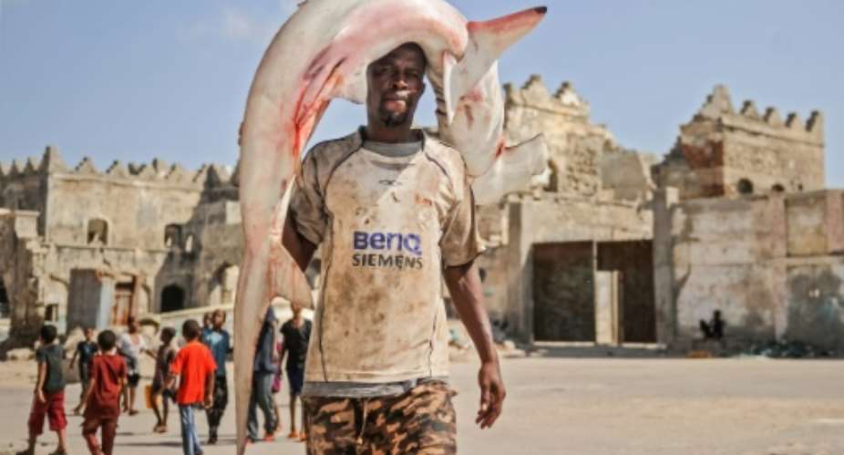 Fishing of sharks and rays is common in Liberia and they can be seen in port markets around Africa, such as in Somalia's capital here.  By Mohamed ABDIWAHAB AFP
