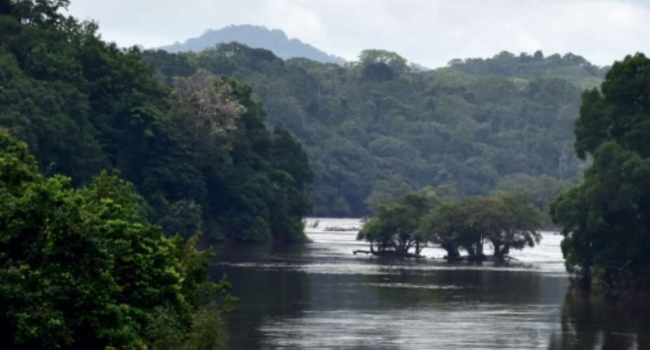 Gabon, 80-percent covered by forest, has banned exploitation of the 'sacred' kevazingo wood.  By ISSOUF SANOGO AFPFile