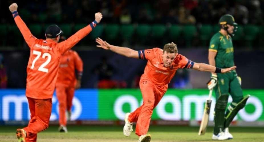 Glory boys: Netherlands' Logan van Beek celebrates after taking the wicket of South Africa's David Miller.  By Money SHARMA AFP