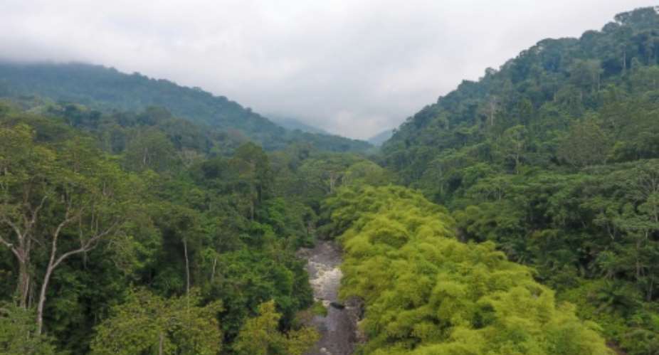 Green Gabon: The small Central African country is a rare jewel -- 90 percent of its area is covered by forest.  By - AgeosAFP